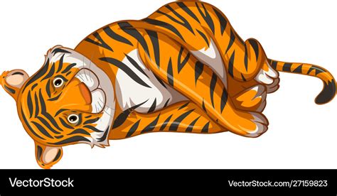 Sad tiger on white background Royalty Free Vector Image