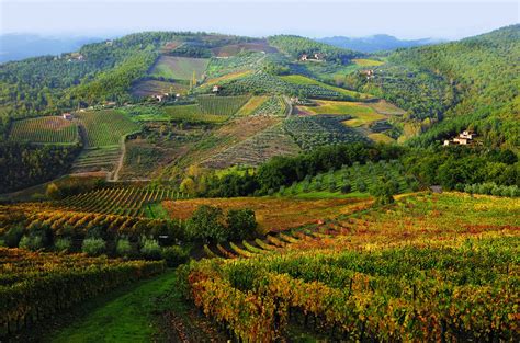 Chianti Classico: The Unità Geografiche Aggiuntive - Decanter