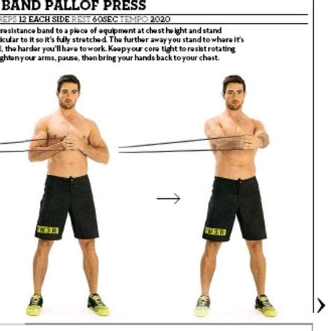 Pallof Press by Uncle Heiko S - Exercise How-to - Skimble