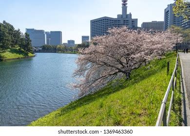 Tokyo Imperial Palace Cherry Blossom Stock Photo 1369463360 | Shutterstock