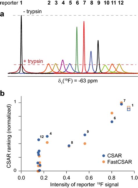 Reporter assay using compound 1 as a reporter ligand and comparison to ...