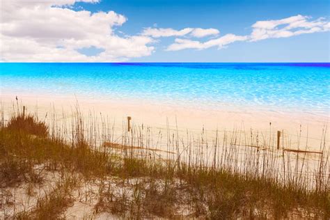 15 Places With The Clearest Water In Florida (Beaches, Springs, and More!) - Florida Trippers