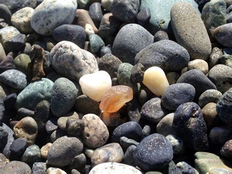 dungeness spit US | Rock hounding, Dungeness spit, Sequim washington