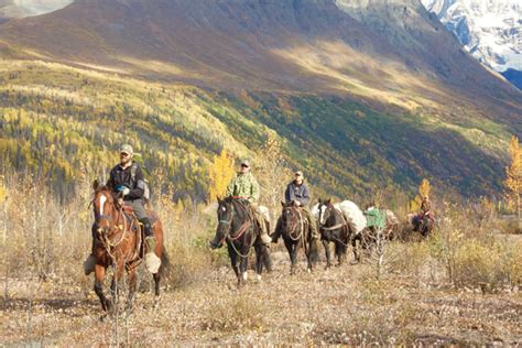 hunting in alaska - Alaska Outfitters Unlimited