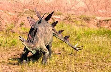 Stegosaurus - Description, Habitat, Image, Diet, and Interesting Facts