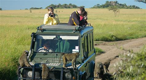 Kenya Safari Tours | Kenya Safari