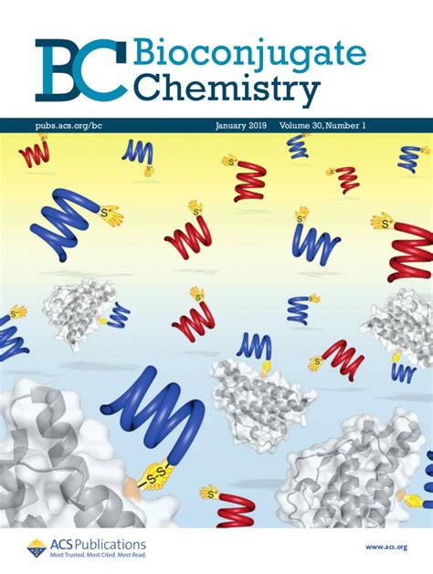 The Ivan Huc Group - Cover picture: Bioconjugate Chemistry, 2019, 30, 54