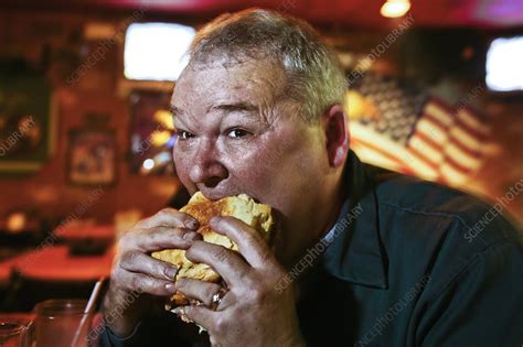 Man eating a hamburger, USA - Stock Image - C010/6915 - Science Photo Library