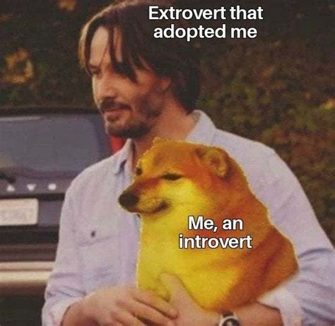 20 Memes That Show What Happens When An Extrovert Meets An Introvert ...