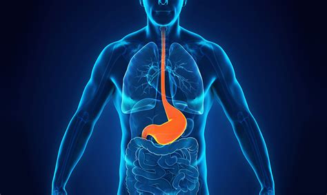 Acid reflux, Heartburn, and GERD: What’s the difference? | NIH MedlinePlus Magazine