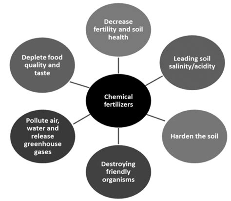 Bio-Fertilizers for Management of Soil, Crop, and Human Health