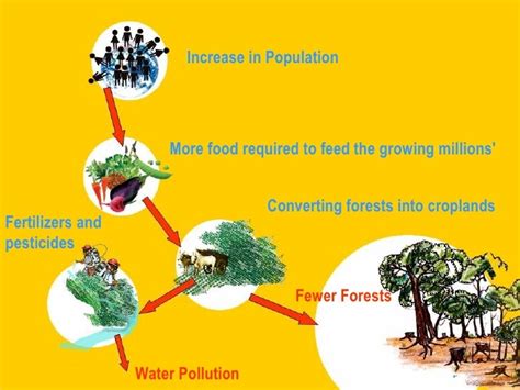 Water Pollution Anthropogenic Causes