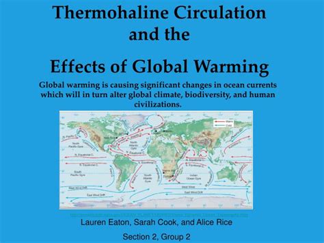 PPT - Thermohaline Circulation and the Effects of Global Warming PowerPoint Presentation - ID ...