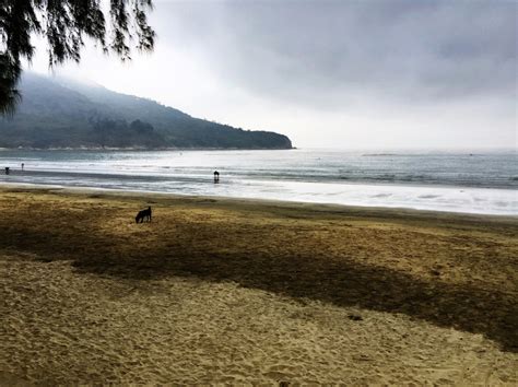 Lush landscapes of Lantau captured on camera - Around DB