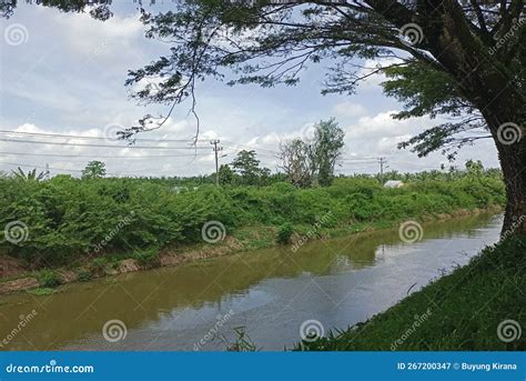 Pohon Besar & X28;Big Tree& X29; Stock Image - Image of reflection ...