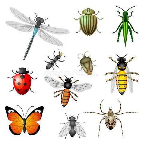 Free Clipart Insects And Bugs