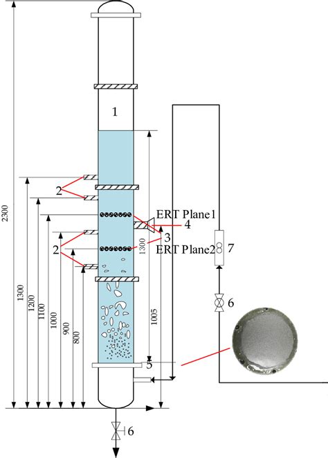 Experimental device diagram of 90-mm bubble column. | Download Scientific Diagram