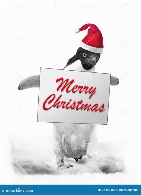 Penguin Says Merry Christmas Stock Illustration - Illustration of december, funny: 27463482