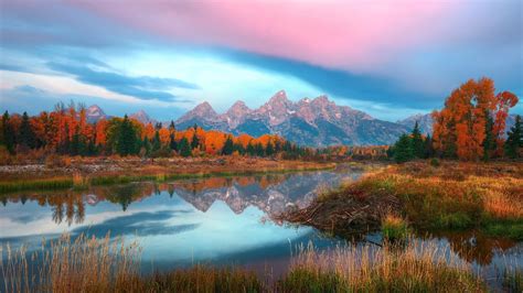 Sunrise at Schwabacher Landing in Grand Teton National Park - backiee