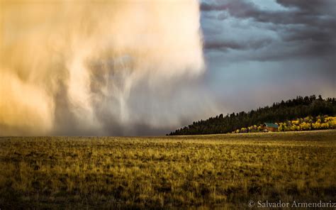 South Park Colorado – Sound Immigration