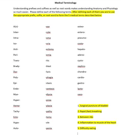 Solved Medical Terminology Understanding prefixes and | Chegg.com