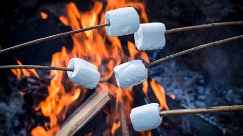 You've Been Roasting Marshmallows Wrong This Whole Time