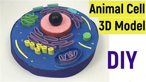 Cell Animal 3d Model Animal Cell Animal Cell Project - vrogue.co