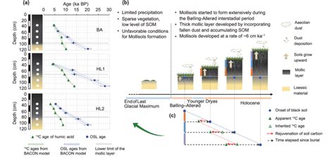 Depth variations in 14 C ages of humic acid and OSL ages for BA, HL1 ...