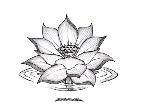 Mandala Lotus Flower Drawing at PaintingValley.com | Explore collection ...