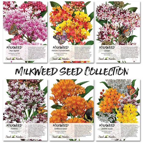 Seed Needs Milkweed Seed Collection – Backyard Gardening Tools