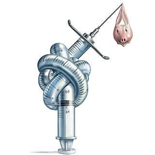 Swine Flu Vaccine--Too Little, Too Late - Scientific American