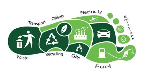 How To Reduce The Carbon Footprint? | World Culture Network