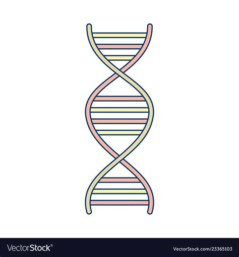 Dna icon Royalty Free Vector Image - VectorStock