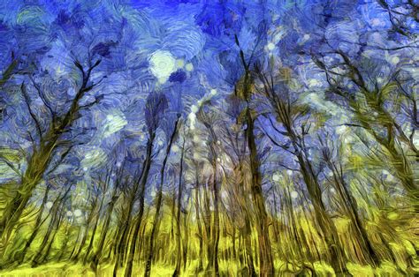 Vincent Van Gogh Forest Art Mixed Media by David Pyatt | Fine Art America