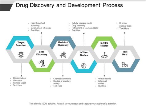 Drug Development Process Overview