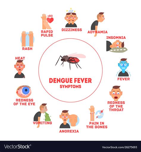 Dengue fever symptoms information banner template Vector Image