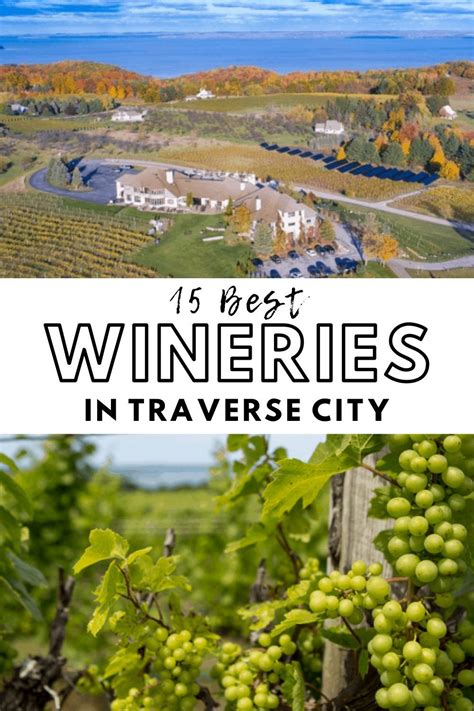 15+ Best & Unique Traverse City Wineries & Vineyards in 2021 | Traverse city wineries, City ...