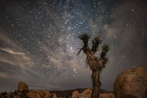 Stargazing in Joshua Tree National Park: Complete Guide for Beginners ...