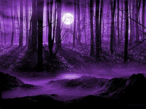 Dark Purple Forest Wallpapers - Top Free Dark Purple Forest Backgrounds - WallpaperAccess