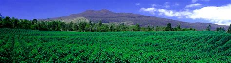 Tours of Bay View Farm