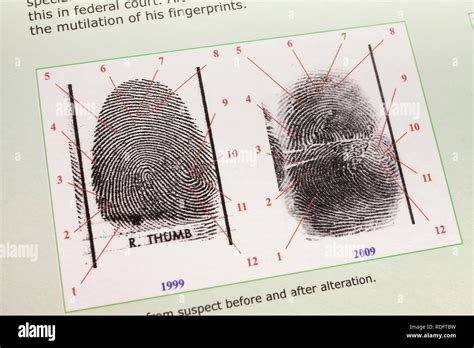 Fingerprint analysis guide (fingerprint comparison) - USA Stock Photo ...