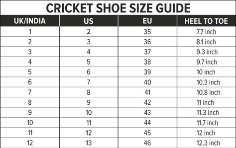 Zooter Cricket Shoes Cricket Shoes