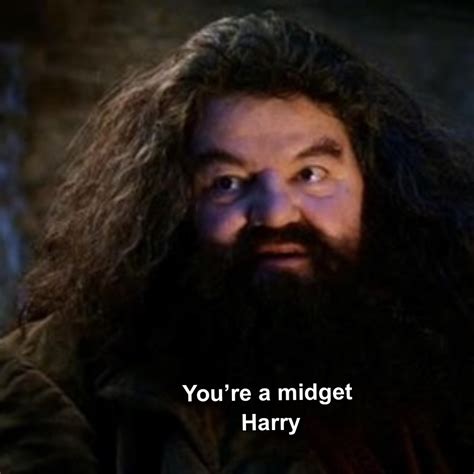 Youre a wizard harry Meme Generator - Piñata Farms - The best meme ...