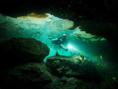 New Manatee Habitat Discovered | A Call to Action [VIDEO]