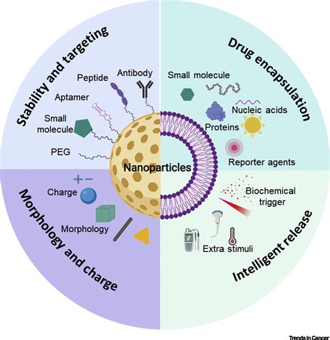 Nanotherapeutics for Immuno-Oncology: A Crossroad for New Paradigms: Trends in Cancer