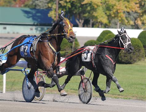 Saratoga Harness racing | Race:310/12/14 1st 1 Jack's Reef 2… | Flickr