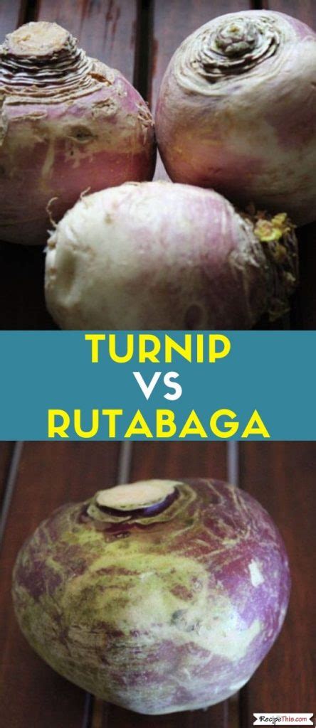 Turnip Vs Rutabaga Vs Swede Vs Neeps | Recipe This