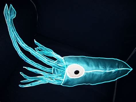 It'll Glow On You: Bioluminescent Giant Squid.