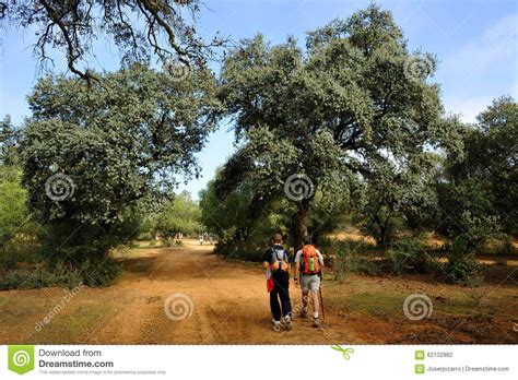 Pilgrims on the Way To Santiago, Camino De Santiago,Via De La Plata, Spain Editorial Photography ...