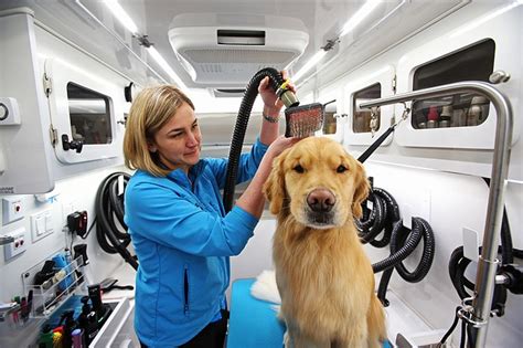 The Mobile Spaw Pet Grooming – Servicing Coeur d'Alene and Hayden, Idaho